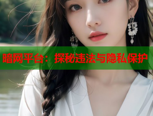 暗网平台：探秘违法与隐私保护