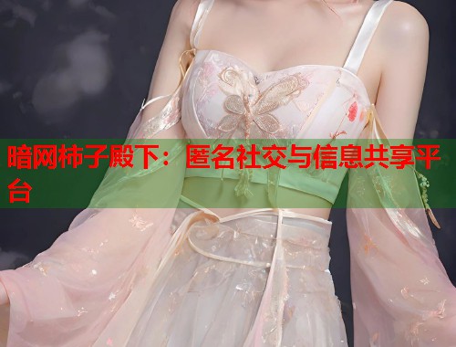 暗网柿子殿下：匿名社交与信息共享平台