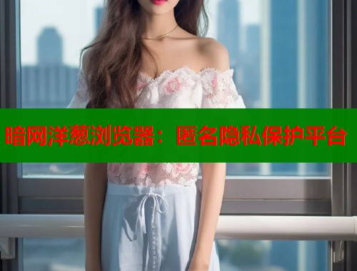 暗网洋葱浏览器：匿名隐私保护平台