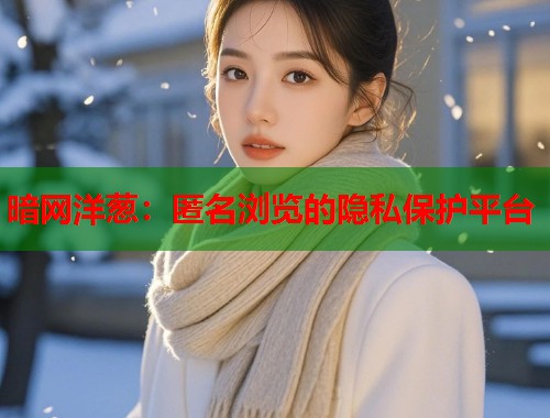 暗网洋葱：匿名浏览的隐私保护平台