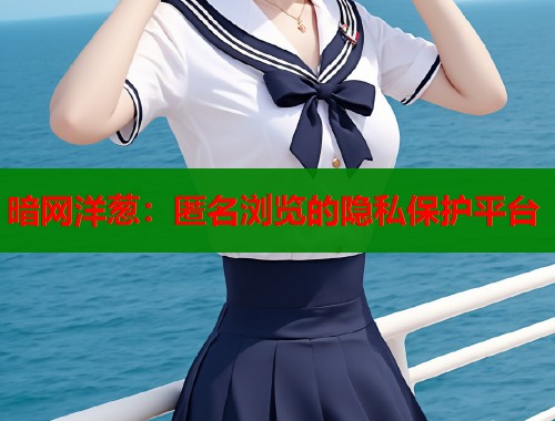 暗网洋葱：匿名浏览的隐私保护平台
