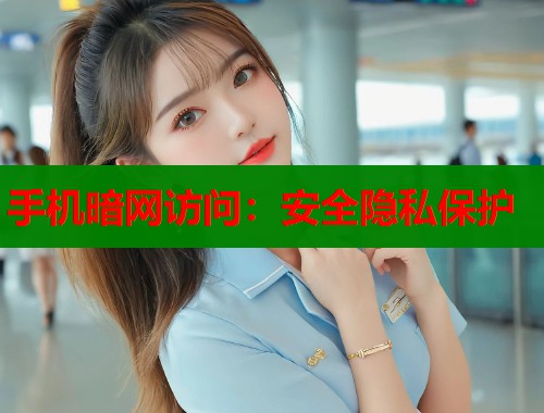 手机暗网访问：安全隐私保护