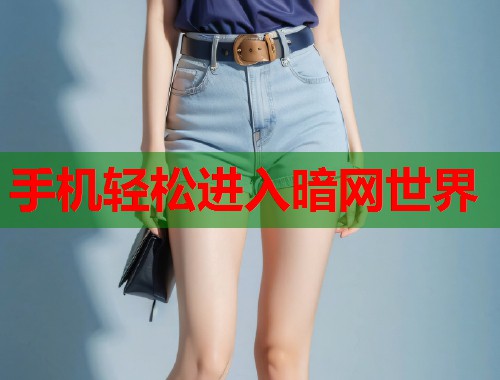 手机轻松进入暗网世界