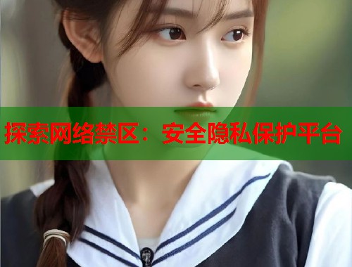 探索网络禁区：安全隐私保护平台