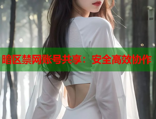 暗区禁网账号共享：安全高效协作