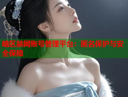暗区禁网账号管理平台：匿名保护与安全保障
