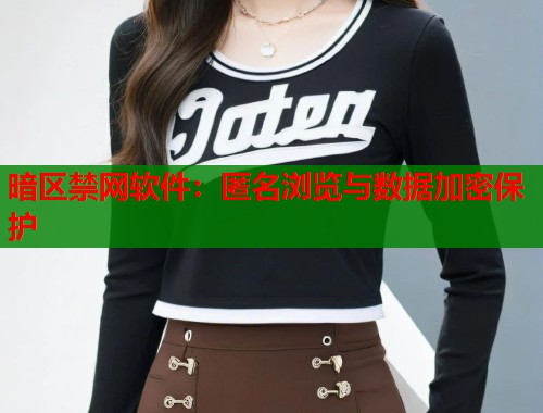 暗区禁网软件：匿名浏览与数据加密保护