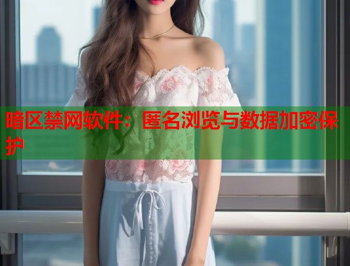 暗区禁网软件：匿名浏览与数据加密保护