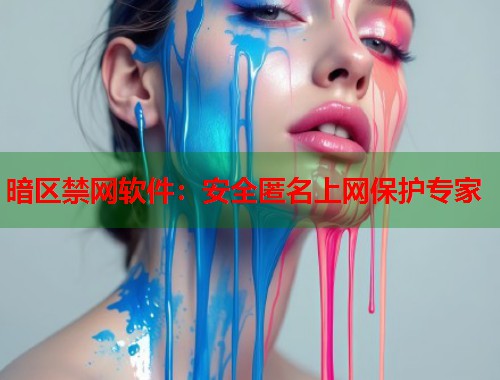 暗区禁网软件：安全匿名上网保护专家