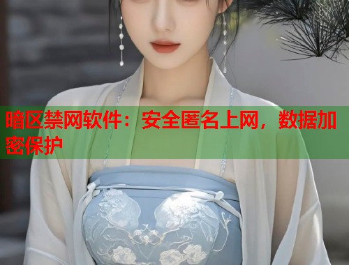 暗区禁网软件：安全匿名上网，数据加密保护