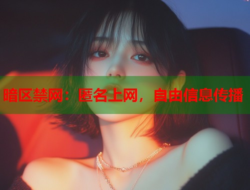 暗区禁网：匿名上网，自由信息传播