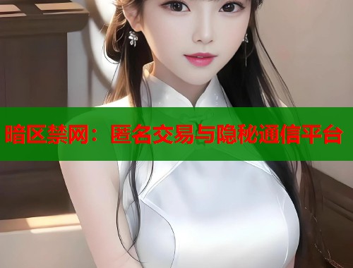 暗区禁网：匿名交易与隐秘通信平台