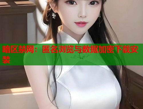 暗区禁网：匿名浏览与数据加密下载安装