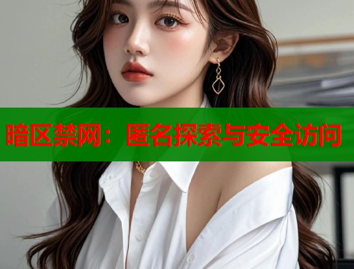 暗区禁网：匿名探索与安全访问