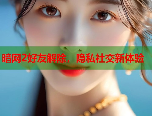 暗网2好友解除，隐私社交新体验