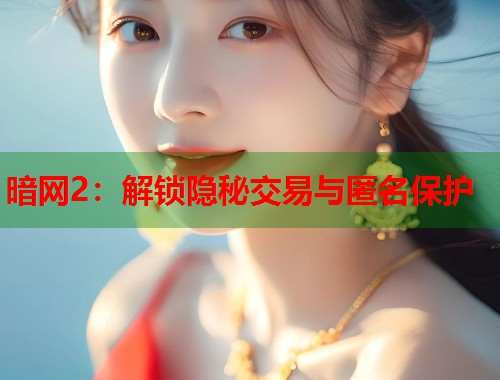 暗网2：解锁隐秘交易与匿名保护