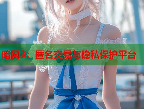 暗网3：匿名交易与隐私保护平台
