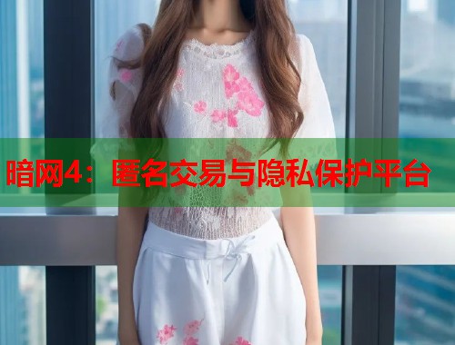 暗网4：匿名交易与隐私保护平台