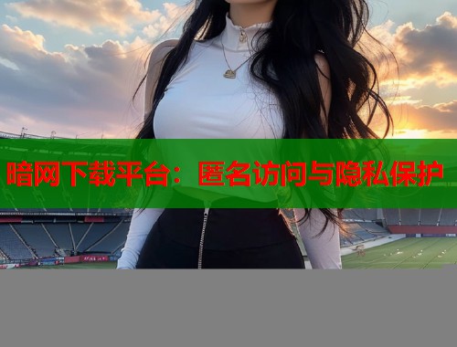 暗网下载平台：匿名访问与隐私保护