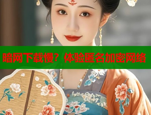 暗网下载慢？体验匿名加密网络