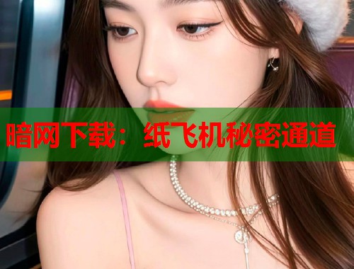 暗网下载：纸飞机秘密通道