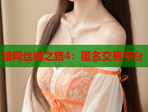 暗网丝绸之路4：匿名交易平台