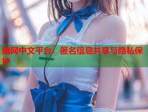 暗网中文平台：匿名信息共享与隐私保护