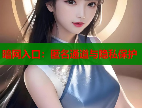暗网入口：匿名通道与隐私保护