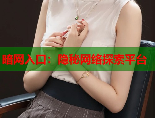 暗网入口：隐秘网络探索平台