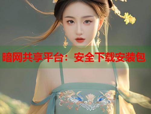暗网共享平台：安全下载安装包