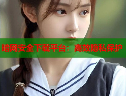 暗网安全下载平台：高效隐私保护