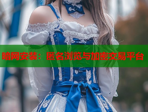暗网安装：匿名浏览与加密交易平台