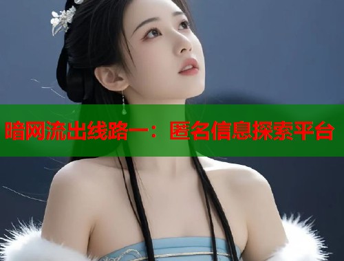 暗网流出线路一：匿名信息探索平台