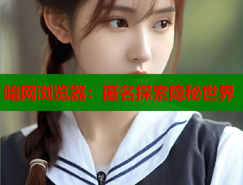 暗网浏览器：匿名探索隐秘世界