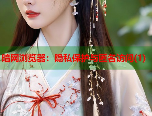 暗网浏览器：隐私保护与匿名访问(1)