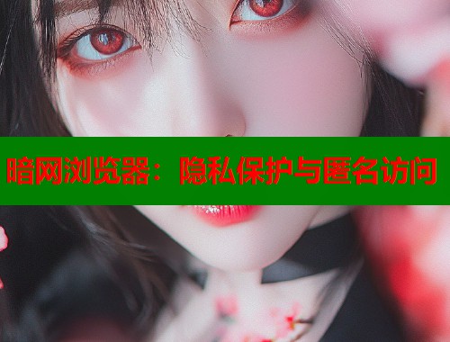 暗网浏览器：隐私保护与匿名访问