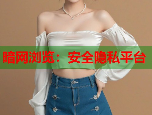 暗网浏览：安全隐私平台