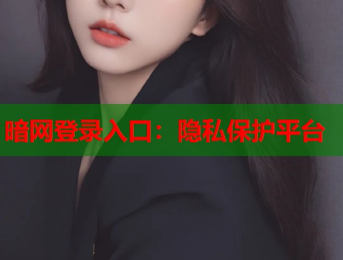 暗网登录入口：隐私保护平台