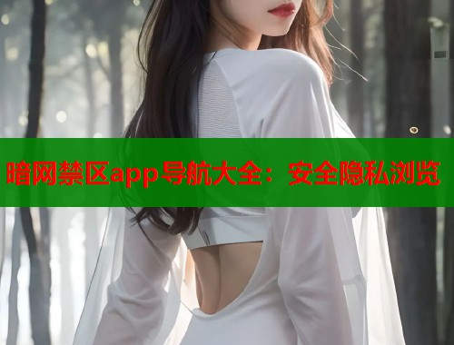 暗网禁区app导航大全：安全隐私浏览