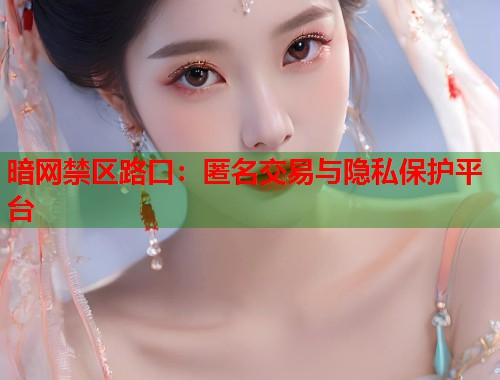 暗网禁区路口：匿名交易与隐私保护平台