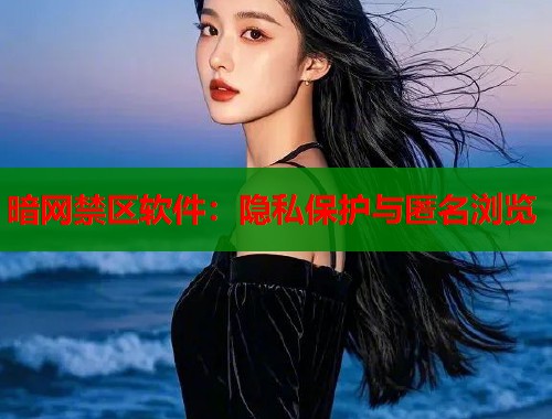 暗网禁区软件：隐私保护与匿名浏览