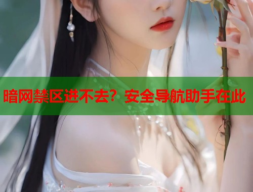 暗网禁区进不去？安全导航助手在此