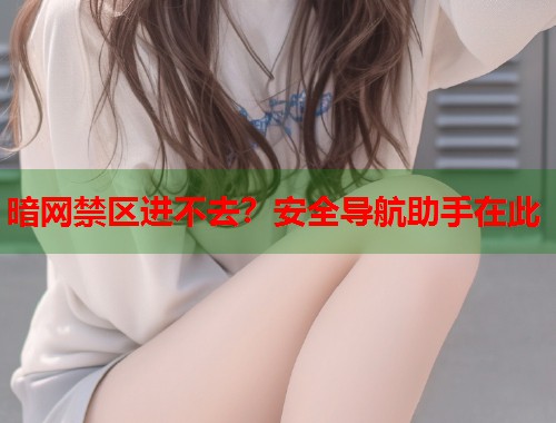 暗网禁区进不去？安全导航助手在此