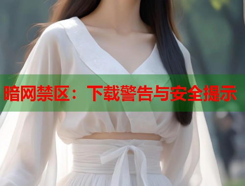 暗网禁区：下载警告与安全提示