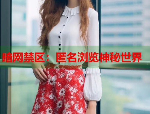 暗网禁区：匿名浏览神秘世界