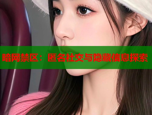 暗网禁区：匿名社交与隐藏信息探索