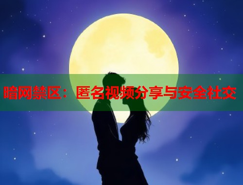 暗网禁区：匿名视频分享与安全社交