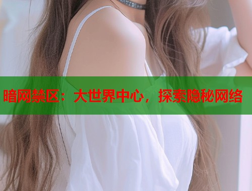 暗网禁区：大世界中心，探索隐秘网络
