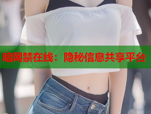 暗网禁在线：隐秘信息共享平台