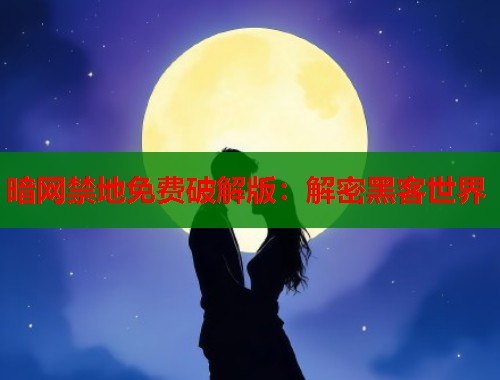 暗网禁地免费破解版：解密黑客世界